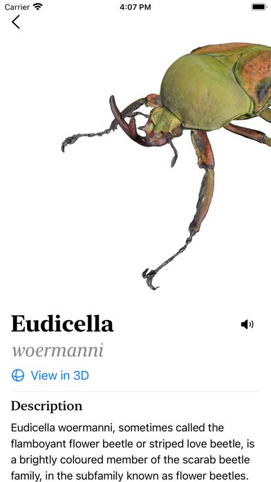 Screenshot #2 pour Insecta - Study Insects in AR