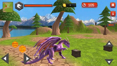 Village Dragon Combat Screenshot