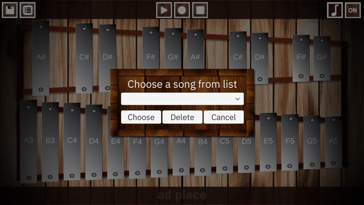Professional Glockenspiel