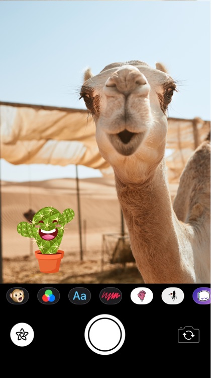 Cute Cactus Stickers