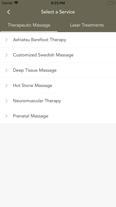 Elements of Bodywork - Massage Screenshot
