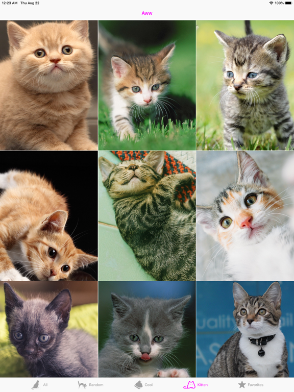 Screenshot #6 pour Cat Wallpapers Cute