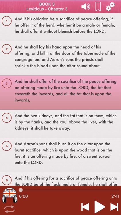 English Holy Bible Audio MP3 screenshot-3