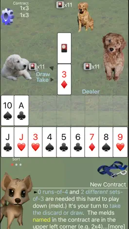 Game screenshot K9 Shanghai Rum: Phase Rummy apk