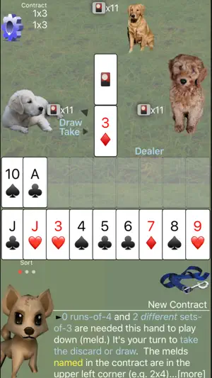 Rummy: K9 Shanghai Rum screenshot 2