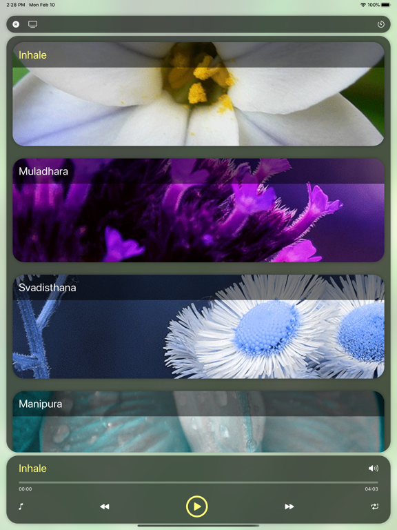 Screenshot #4 pour Musique de Guérison Pranique