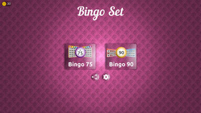 Bingo Set Screenshot