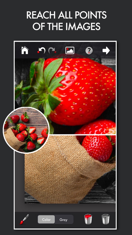 #5. Colorfader Lite (iOS) 게시자: michele barbieri