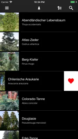 Game screenshot Nadelbäume apk