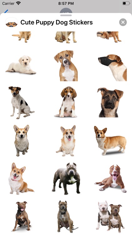 Cute Puppy Dog Stickers