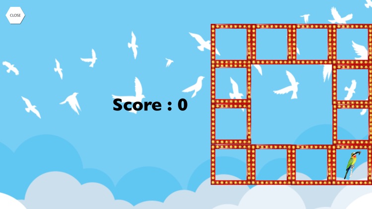 BirdOtap screenshot-3