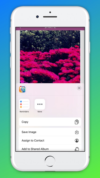 Square-Photo Editor screenshot-4