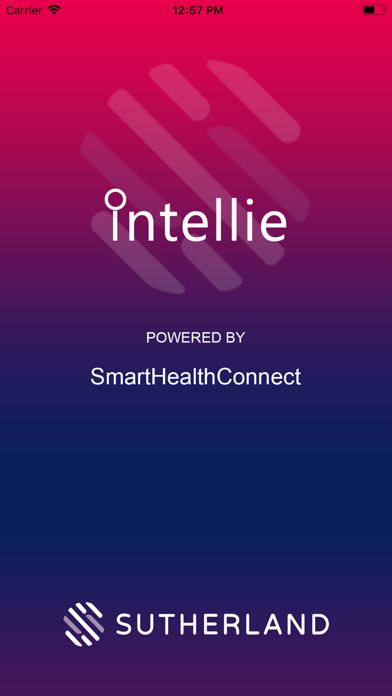 Intellie Screenshot
