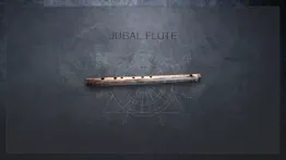 jubal flute problems & solutions and troubleshooting guide - 3