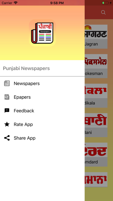 Punjabi Newspapers Screenshot