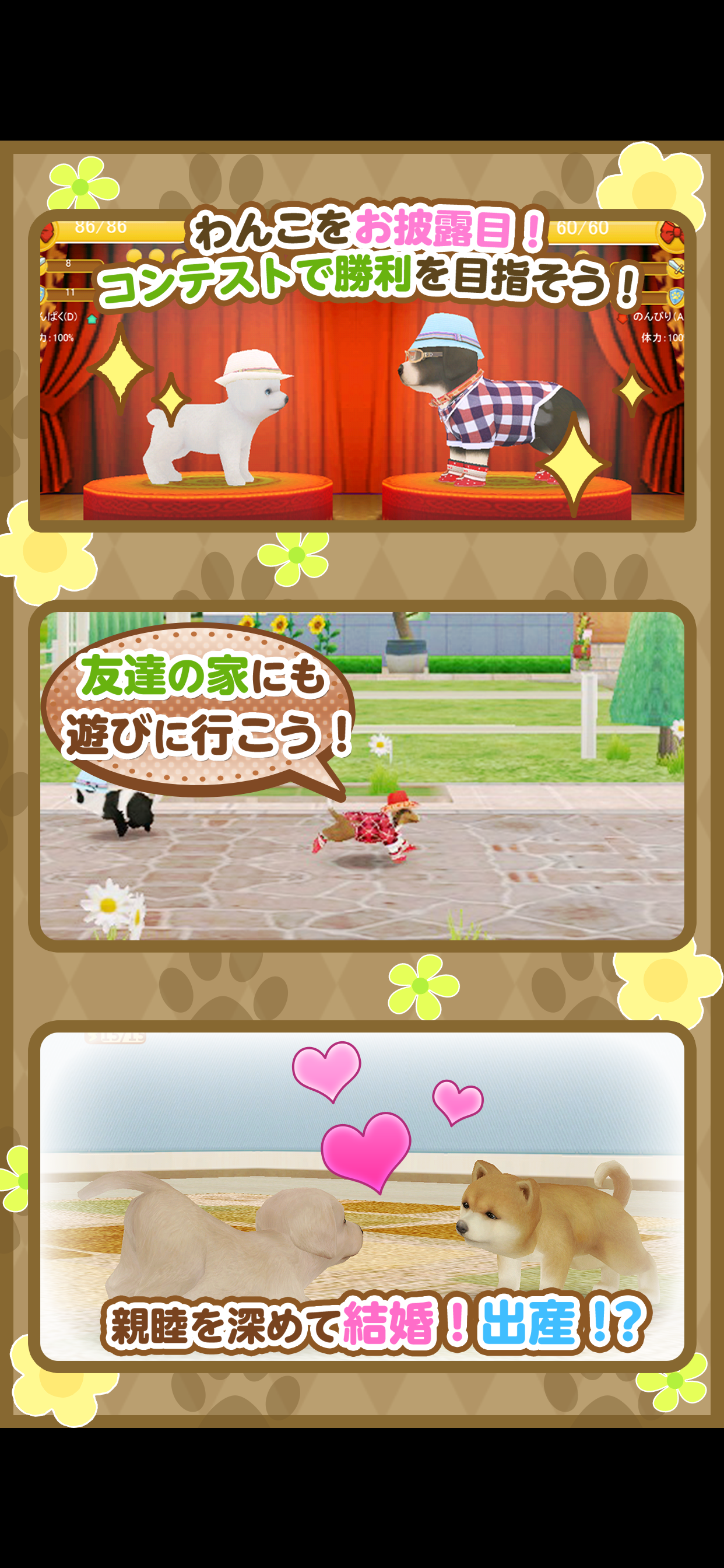 てのひらワンコ 【スマホでわんこ育成】