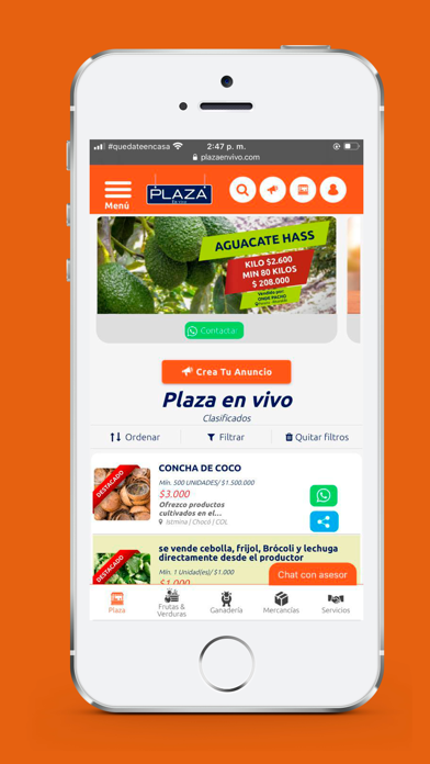 PlazaEnVivo screenshot 4