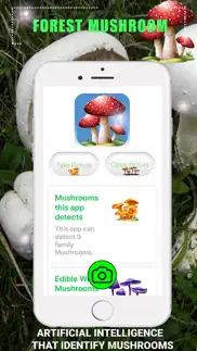 forest mushroom iphone screenshot 1