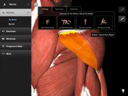 Game screenshot iMuscle 2 mod apk