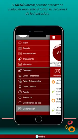 ICOnnecta screenshot 3