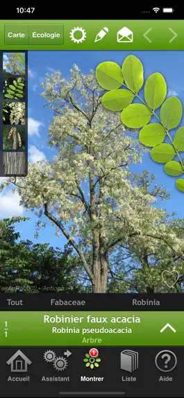 Game screenshot Arbres et arbustes en poche mod apk