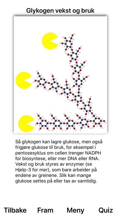 Pentosesyklus screenshot-3