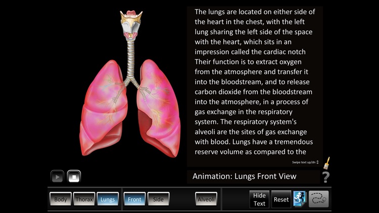 Respiration ID screenshot-3