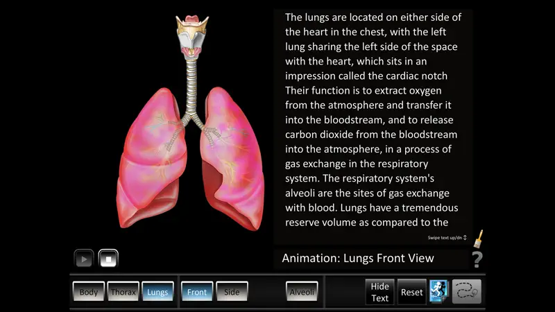 Respiration ID screenshot 4 of 5