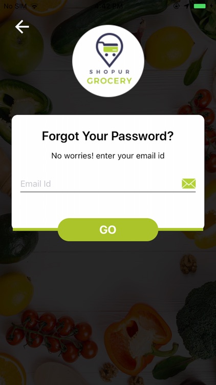 ShopurGrocery Delivery boy