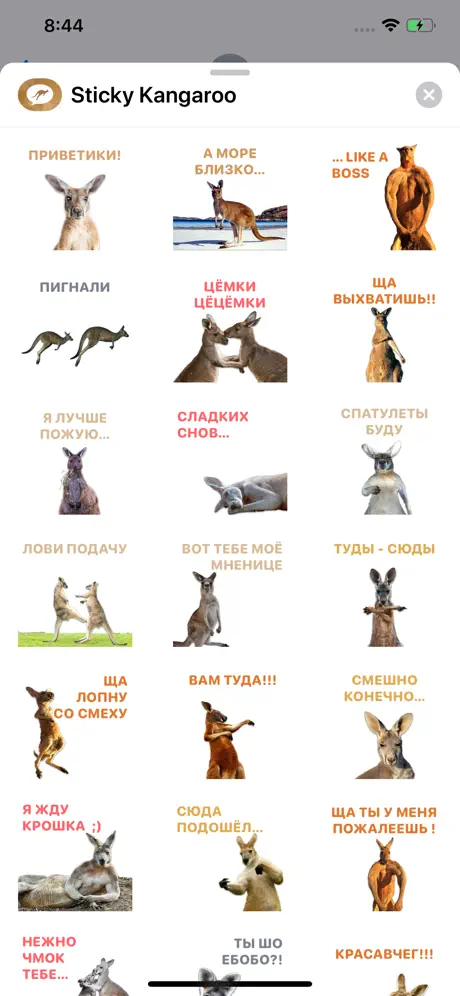 Sticky Kangaroo
