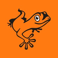 Orange Salamander Erfahrungen und Bewertung