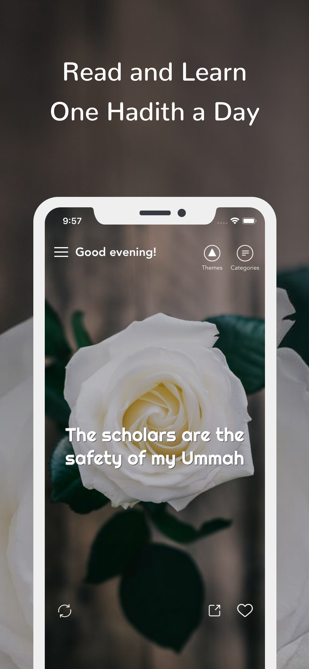 Daily Hadiths - A hadith a day