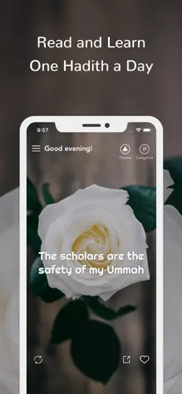 Game screenshot Daily Hadiths - A hadith a day mod apk