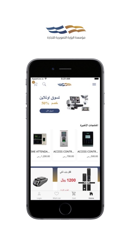 الرؤية التصويرية