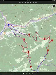 cartograph 2 lite map viewer айпад изображения 1
