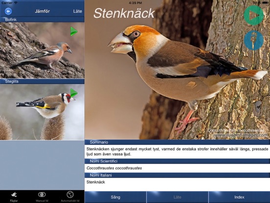 Screenshot #6 pour Fågelsång Id - fåglar