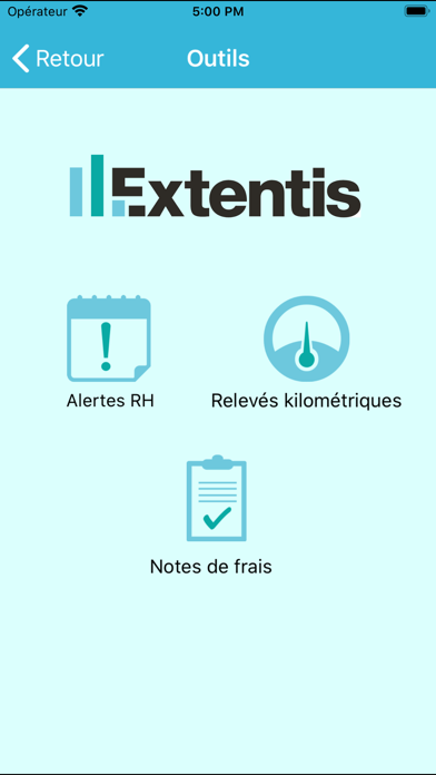 CONNEXION EXTENTIS screenshot 2