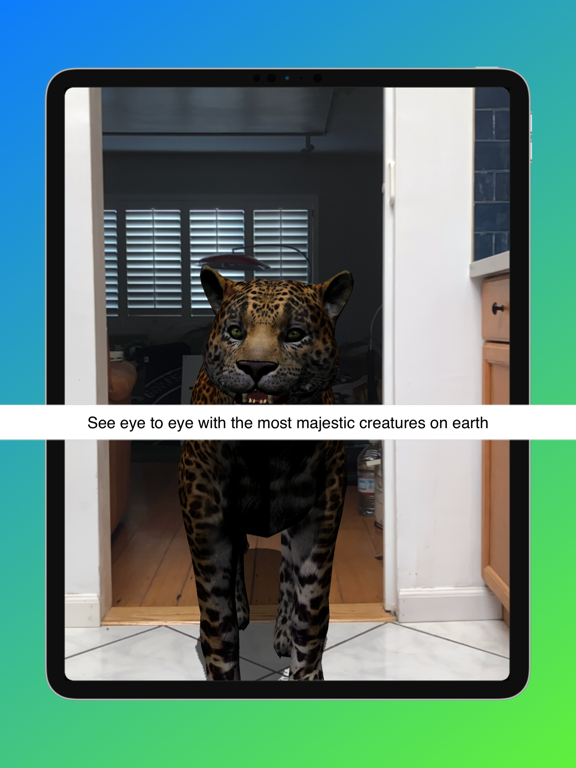 Animal Safari AR - 3D Learning iPad screenshot 7 - Entertainment app