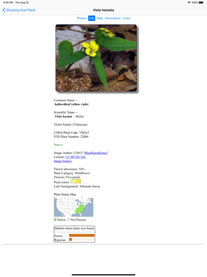 West Virginia Wildflowers