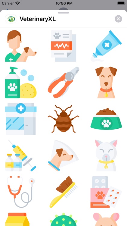 VeterinaryXL