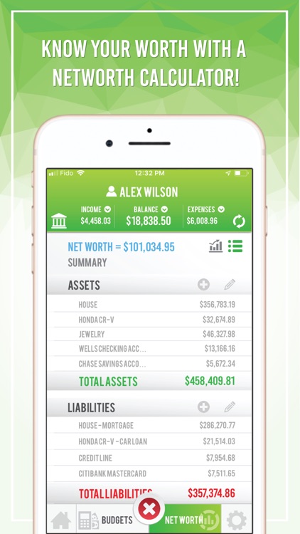 Budget App - Net Worth screenshot-1