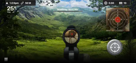 Deer Target Shooting