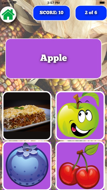 Food Flash Cards Quiz screenshot-7