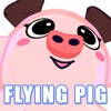 Smile Toy : Flying Pig