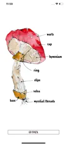 Snout: Mushroom Identification screenshot #8 for iPhone