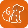 Dawg Tales