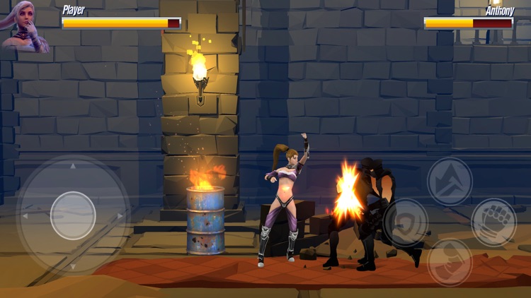 Samurai X Warriors screenshot-4