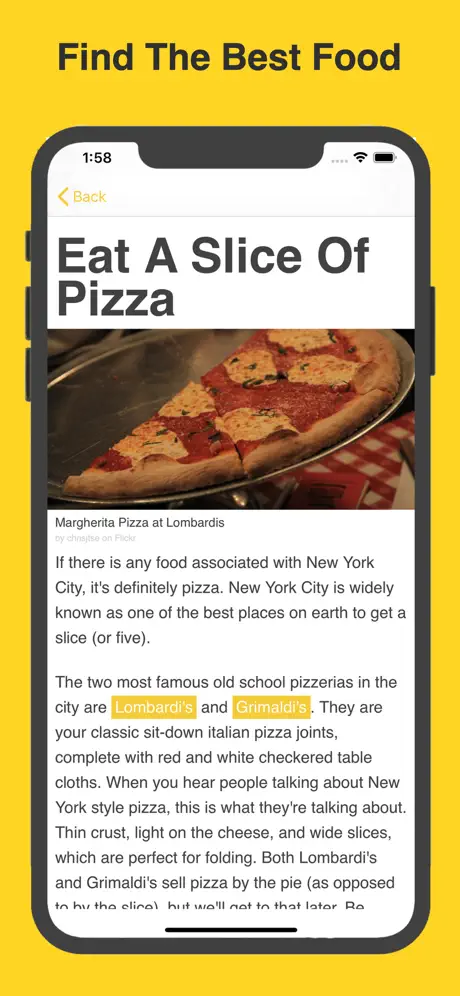 Obvious NYC ~ Travel Guide
