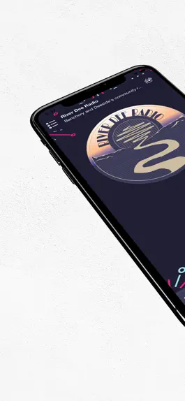 Game screenshot River Dee Radio mod apk