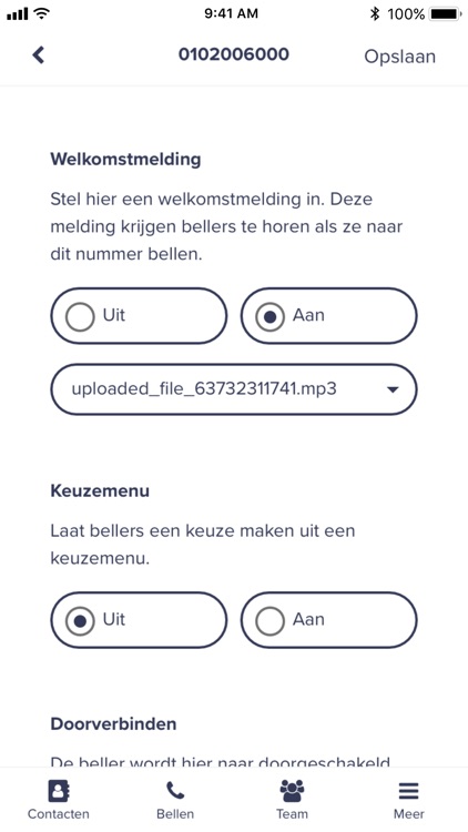 Dataway screenshot-5